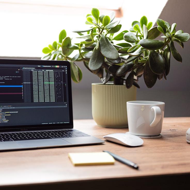 iOS app development workspace